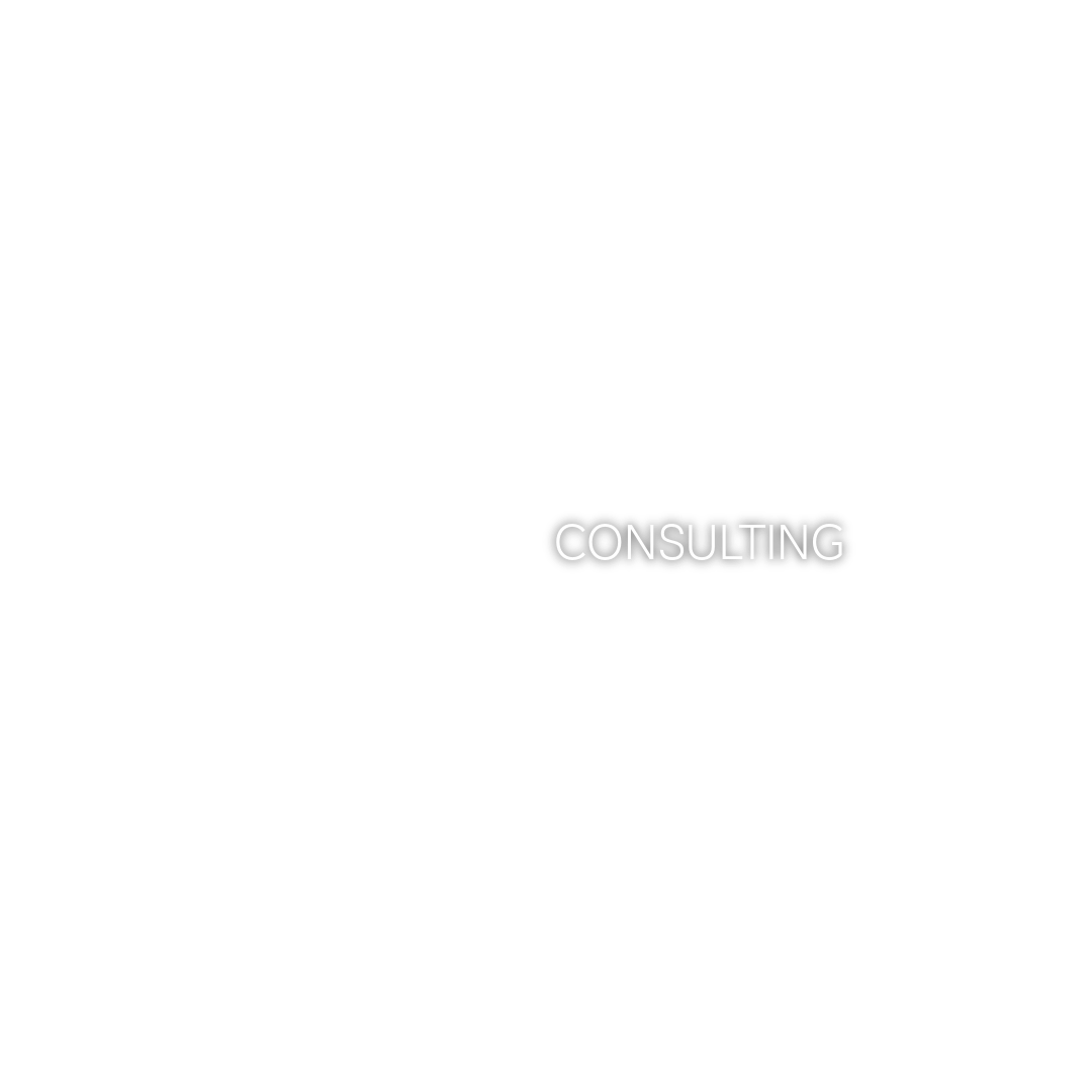 Sogueco Consulting